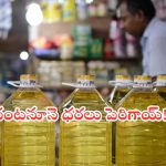Edible Oils: సామాన్యులకు బిగ్ షాక్.. భారీగా పెరిగిన వంట నూనెల ధరలు!