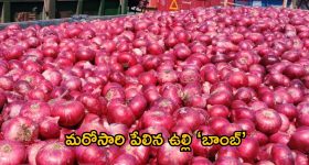 Devara Audience Reaction : తారక్ ఎర్ర సంద్రంపై తాండవం... ఆడియన్స్ రియాక్షన్ ఇదే..