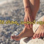 Protein Rich Foods: ఈ లక్షణాలు కనిపిస్తే మీకు ప్రోటీన్ లోపం ఉందని అర్థం, వీటిని తినండి