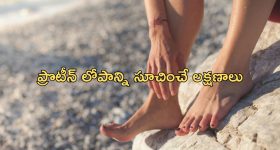 Protein Rich Foods: ఈ లక్షణాలు కనిపిస్తే మీకు ప్రోటీన్ లోపం ఉందని అర్థం, వీటిని తినండి
