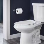Toilet Vastu Tips: కొత్త ఇళ్లు కడుతున్నారా.. టాయిలెట్ ఈ దిశలో ఉంటే కెరీర్‌లో పురోగతి ఉండదు..