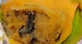 Hindi Imposition: హిందీ.. రగడ! పదవి లేక పిచ్చెక్కిందా?: కేటీఆర్ పై రాజాసింగ్ ఫైర్