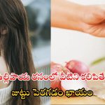 Onion Juice For Hair: వీటిని జుట్టుకు రాస్తే.. ఊడమన్నా ఊడదు !