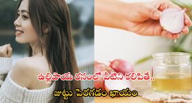 Viral News: తాగుడుకు బానిసైన పిల్లి ఎంత బరువు పెరిగిందో తెలుసా..చూస్తే అవాక్కవుతారు