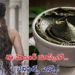 Homemade Hair Mask: జుట్టు సమస్యలన్నింటికీ ఈ హెయిర్ మాస్క్‌తో చెక్ !