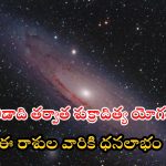 Shukraditya rajyog 2024: శుక్రాదిత్య రాజయోగం.. ఈ రాశుల వారికి అదృష్టం