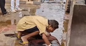 Viral Video: ఇంత కక్కుర్తిలో ఉన్నావేంట్రా.. నేలపై పారుతున్న మద్యాన్ని ఎలా తాగేశాడో చూడండి