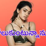 Rashmika Mandanna: ప్రమాదానికి గురైన రష్మిక.. షాక్ లో ఫ్యాన్స్