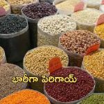 Prices Increase: భారీగా పెరిగిన ధరలు.. సామాన్యుల నడ్డి విరుస్తోన్న నిత్యావసర ధరలు!