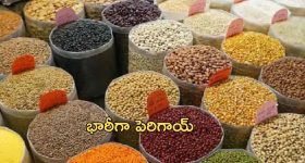 Liver Health: మనదేశంలో 66 శాతం మరణాలకు కాలేయ సమస్యలే కారణమట, చెబుతున్న కొత్త నివేదిక