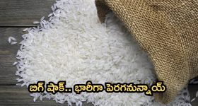 Megastar Chiranjeevi : చిరంజీవిపై అరచి అందరి ముందే అవమానించిన స్టార్ ప్రొడ్యూసర్..?