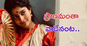 Sai Pallavi: పదేళ్లుగా నేను అతన్నీ ప్రేమిస్తున్నా.. ఓపెన్ అయిన సాయి పల్లవి