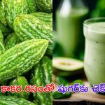 Bitter Gourd For Diabetes: కాకర రసంతో షుగర్ వ్యాధికి చెక్ !