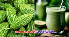 Bitter Gourd For Diabetes: కాకర రసంతో షుగర్ వ్యాధికి చెక్ !