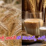 Barley Water Benefits: బార్లీ వాటర్‌తో అనారోగ్య సమస్యలు దూరం !