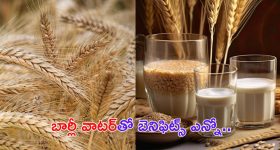 Barley Water Benefits: బార్లీ వాటర్‌తో అనారోగ్య సమస్యలు దూరం !