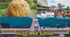 Tirumala: తిరుమల భక్తులకు గుడ్ న్యూస్.. లడ్డూ ప్రసాదాలపై అనుమానాలు వద్దు.. కల్తీ నెయ్యిపై టీటీడీ క్లారిటీ