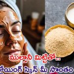 Multani Mitti Face Pack:ముల్తానీ మిట్టితో స్మూత్, గ్లోయింగ్ స్కిన్..