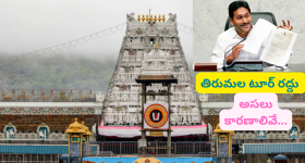 Puri Jagannadh: ఇంటికొచ్చిన ఫ్యాన్స్ తో ముంబాయి నుంచి వీడియో కాల్ మాట్లాడిన పూరి జగన్నాథ్