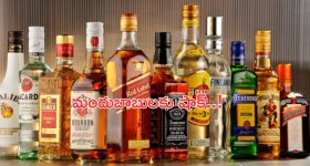 Natural Disaster: క్లౌడ్‌ బరస్ట్‌తో ఆకస్మిక వరదలు.. విపత్తులను ఆపే దారేది?