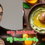 Homemade Hair Mask: జుట్టు పెరగాలంటే.. ఈ హెయిర్ మాస్క్ ట్రై చేయాల్సిందే !