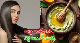 Homemade Hair Mask: జుట్టు పెరగాలంటే.. ఈ హెయిర్ మాస్క్ ట్రై చేయాల్సిందే !