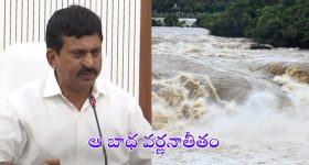 Aloe Vera Face Pack: అందంగా కనిపించాలా..? అయితే ఈ ఫేస్ ప్యాక్స్ మీ కోసమే !