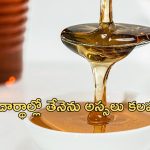 Honey: తేనె తింటే మంచిదే, కానీ దానిలో ఈ పదార్థాలు కలుపుకొని తింటే మాత్రం ప్రమాదం