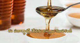 CM Chandrababu Pays Tribute: సీతారాం ఏచూరి పార్థివ దేహానికి సీఎం చంద్రబాబు నివాళులు.. సిద్ధాంతాలకు కట్టుబడే వ్యక్తి