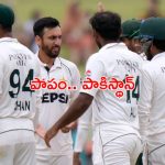 World Test Championship 2025: పాకిస్తాన్ కు దెబ్బ మీద దెబ్బ