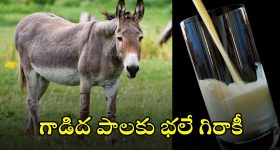 Shukra Gochar 2024: శుక్రుడి రాశిలో మార్పు.. మొత్తం 12 రాశులపై ప్రభావం
