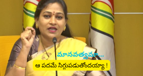 Tollywood: ఐటం గర్ల్స్ కోసం మెగా హీరోల వేట... చిరు నుంచి బన్నీ దాకా అందరిదీ ఒకే సమస్య
