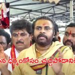 Deputy CM Pawan Kalyan: సనాతన ధర్మం జోలికి వస్తే వదిలేది లేదు.. ప్రకాష్ రాజ్ జాగ్రత్త :  పవన్ వార్నింగ్