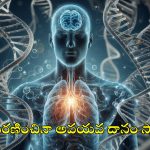 Mystery: చావు రహస్యం తేలిపోనుంది.. మరణం తర్వాత మూడో దశ!.. కన్ఫమ్ చేసిన సైంటిస్టులు