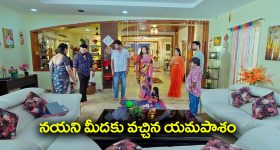 Trinayani Serial Today October 16th: ‘త్రినయని’ సీరియల్‌: నయని కోసం వచ్చిన యమపాశం - నిజం తెలుసుకుని షాకైన విశాల్ 