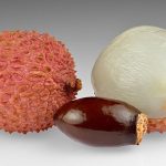 lychee seeds: లిచీ పండ్ల కన్నా వాటిలో ఉన్న విత్తనాలే ఆరోగ్యకరమైనవి, వాటితో ఎన్నో సమస్యలు రాకుండా అడ్డుకోవచ్చు