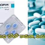 Viagra Sales: వయాగ్రా.. తెగ వాడేస్తున్నారు, ఇండియాలో భారీగా పెరిగిన సేల్స్.. గణంకాలు చూస్తే షాకవుతారు..