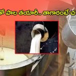 Adulterated Milk Mafia: యాసిడ్ తో పాల తయారీ.. తాగారంటే ప్రాణాలు పోవాల్సిందే!