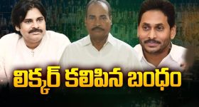 YCP - Janasena: లిక్కర్ కలిపిన బంధం.. కలిసిపోయిన జనసేన, వైసీపీ
