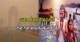 TTD Wedding Gifts: వివాహం నిశ్చయమైందా.. అయితే ఈ గొప్ప అవకాశం మిస్ కావద్దు.. శ్రీవారి కానుక ఉచితంగా మీ చెంతకు..