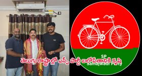 Diwali 2024: దీపావళి రోజు ఏ నూనెతో దీపాలు వెలిగించాలి.. పాటించాల్సిన ఆచారాలు ఏమిటి ?