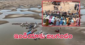 Tirumala Tickets Issue: ఏ పాపం తెలియదు.. కుట్ర జరుగుతోందంటున్న జకియా ఖానమ్.. సంబంధం లేదంటున్న బొత్స