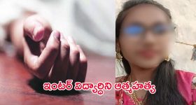 Intinti Ramayanam Today Episode: అవనిని మరోసారి అడ్డంగా బుక్ చేసిన పల్లవి.. ఇంటికి తాగొచ్చిన భర్తను చూసి అవని షాక్ ..