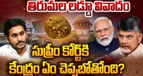 Mamitha Baiju : తెలుగు ఫ్యాన్స్ కు షాక్ ఇచ్చిన 'ప్రేమలు' బ్యూటీ.. ఫ్యాన్స్ హర్ట్..