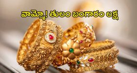 Saptahik Rashifal Lucky Rashi: వృశ్చిక రాశితో సహా ఈ 5 రాశుల వారు ధనవంతులు కాబోతున్నారు
