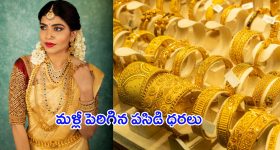Today Gold Prices: పండగ వేళ  భారీ షాక్.. మళ్లీ పెరిగిన పసిడి ధరలు