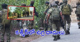 New Snake Species: హిమాలయాల్లోని అరుదైన పాముకు ఆ రొమాంటిక్ హీరో పేరు పెట్టిన పరిశోధకులు.. అది అంత స్పెషలా?