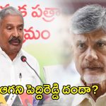 Peddireddy: ఆగని పెద్దిరెడ్డి దందా? షాక్ లో టీడీపీ