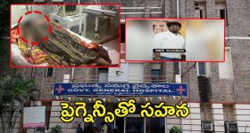 Sahana Brain Dead Case: బ్రెయిన్ డెడ్ కేసులో బిగ్ ట్విస్ట్.. ప్రెగ్నెన్సీతో సహన.. పోస్ట్ మార్టం రిపోర్ట్‌లో సంచలన విషయాలు