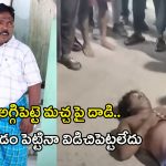 Aggipetti Macha: అగ్గిపెట్టె మచ్చ పై దాడి.. . స్పృహ తప్పి పడిపోవడంతో